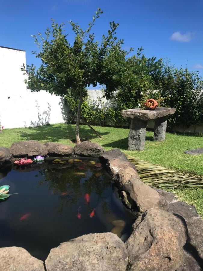 Charming Green Country House Nordestinho Eksteriør bilde